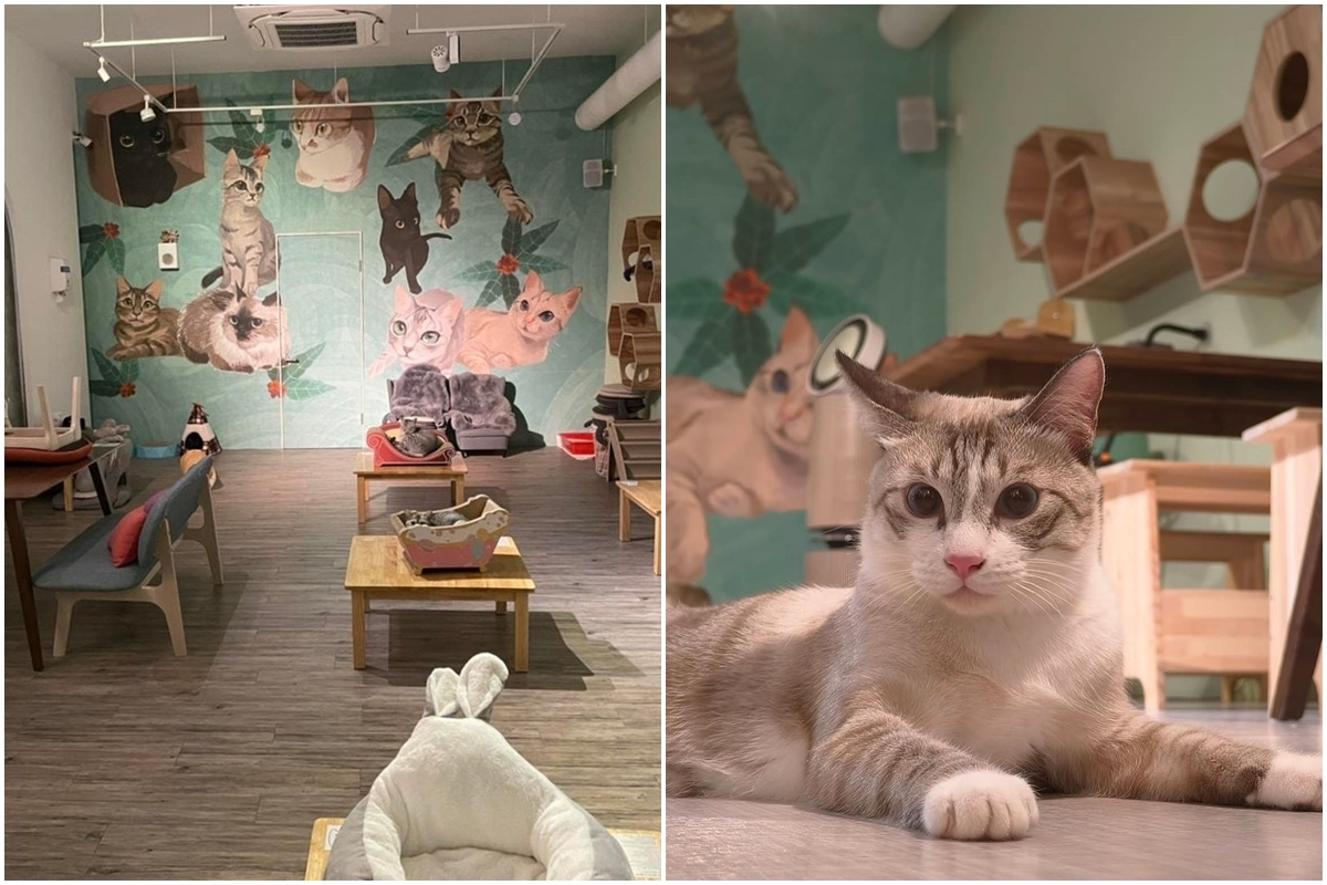 【賞燈美食祭】新北燈會周邊必吃10家美食優惠，再抽海景飯店免費住