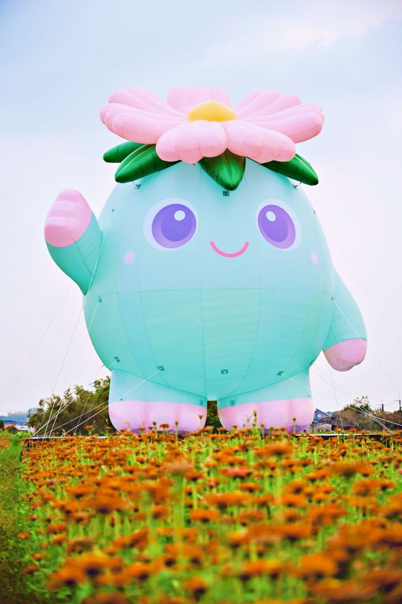 高雄走春開逛！「2026美濃花海節」花季倒數，必拍超萌小精靈、漸層花彩帶