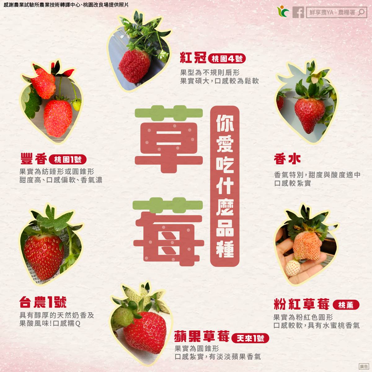 洗草莓不用加鹽巴!農業部曝3步驟去除農藥髒污,加碼保存挑選香甜草莓撇步 洗草莓不用加鹽巴!農業部曝3步驟去除農藥髒污,加碼保存挑選香甜草莓撇步