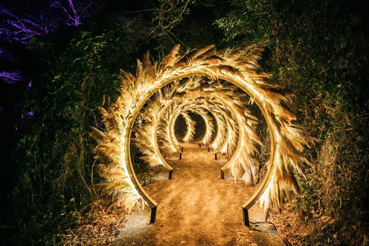 全台唯一「瀑布光影展」在這！美拍台版teamLab仙境，門票100元送獨角獸頭飾