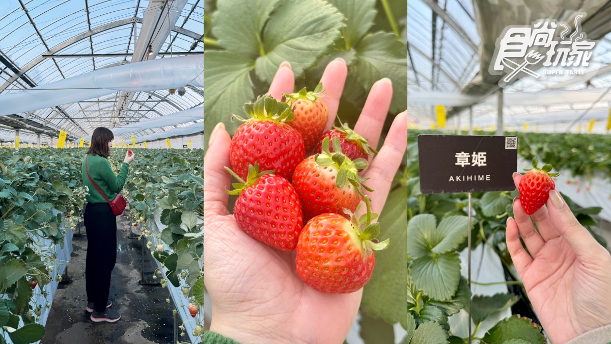 日本中部「復古散步地圖」最新版！雪山纜車ｘ溫泉甜點ｘ昭和老街６玩法