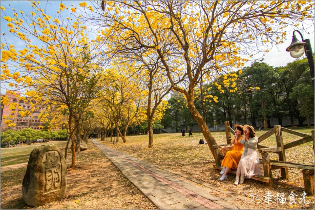 嘉義風鈴木景點：中正大學