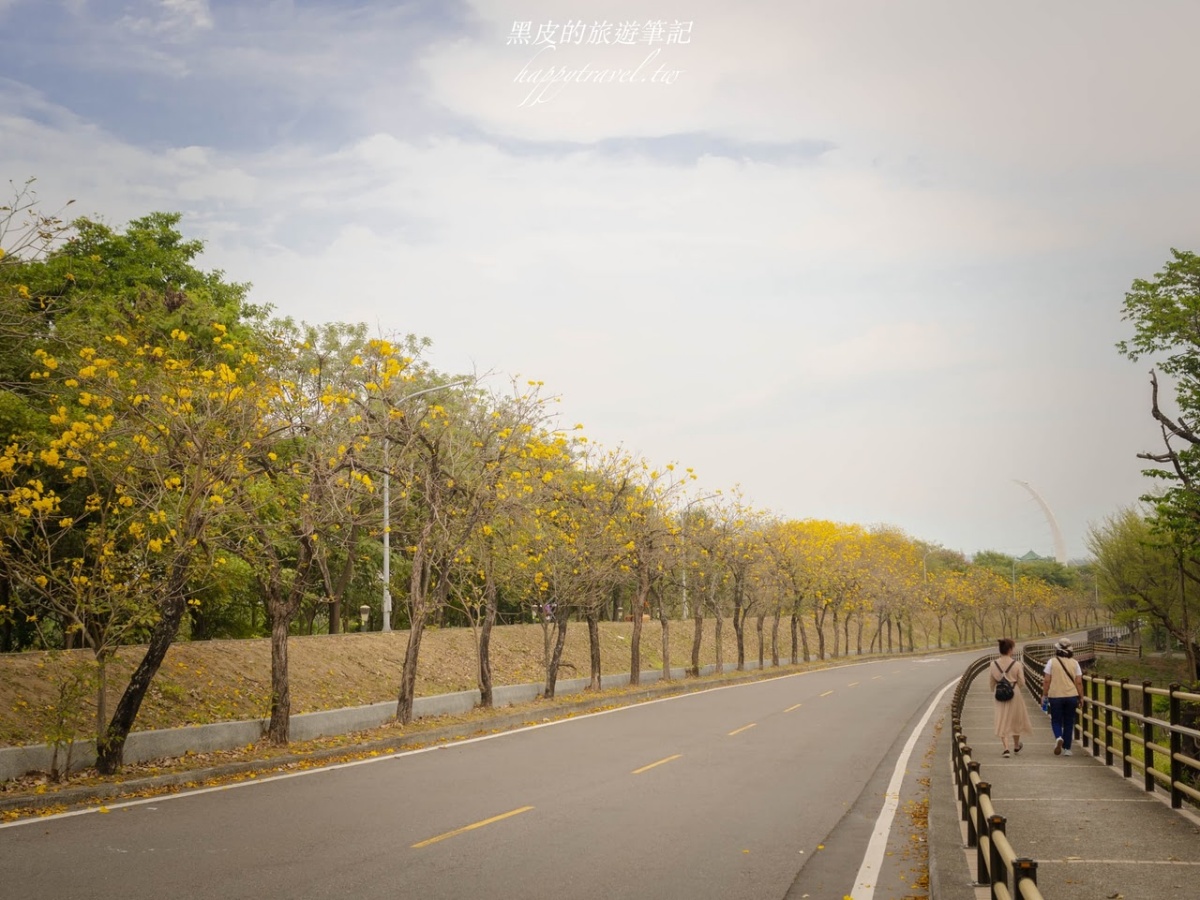 嘉義風鈴木：八掌溪堤防軍輝橋步道