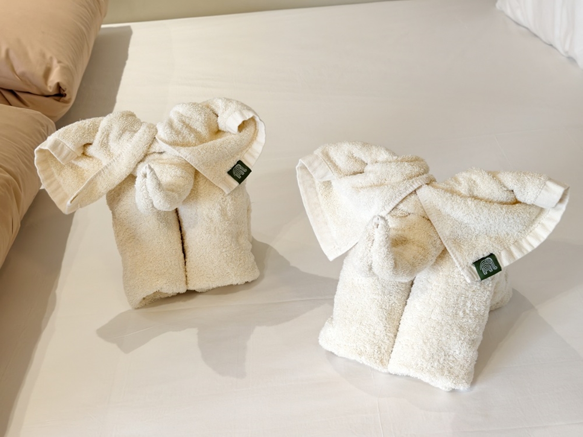 新開幕爆紅民宿買一晚送一晚！無邊際泳池看雲海、吃到飽，還可賞櫻、逛燈會