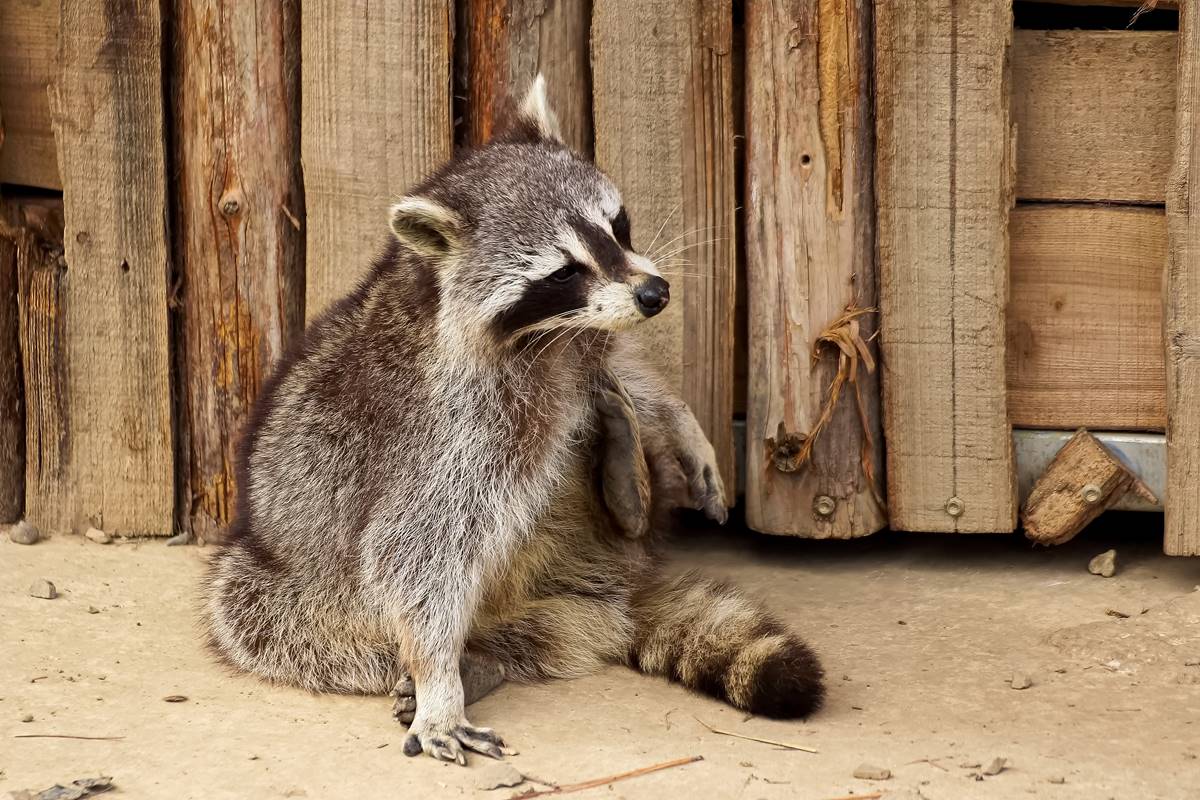 內灣老街、六福村都輸它！新竹最夯景點年吸386萬人，好拍好逛、親子一日遊