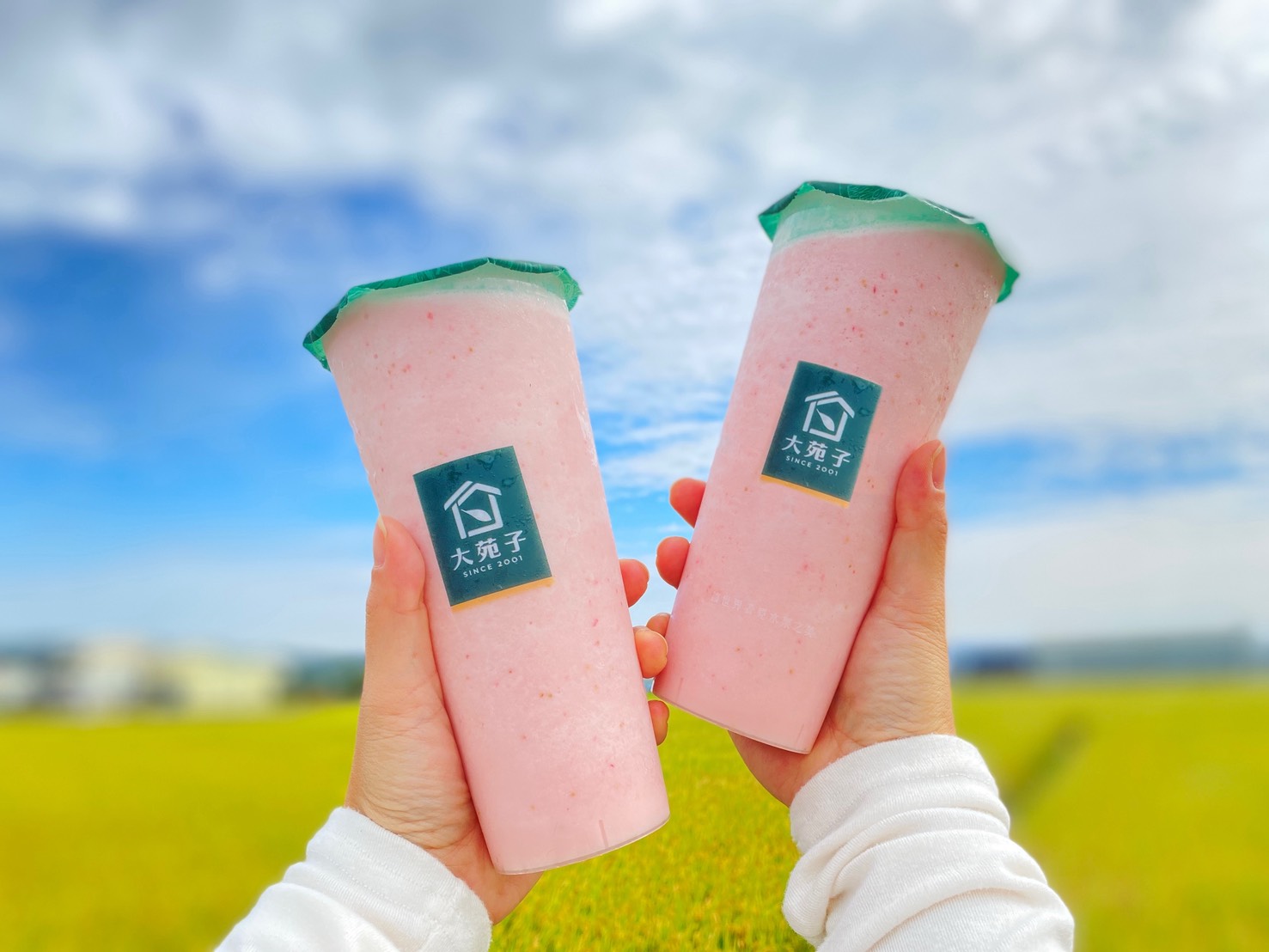 大苑子、CoCo、UG買一送一！「棒球應援＋38婦女節」手搖優惠，日出珍奶免費