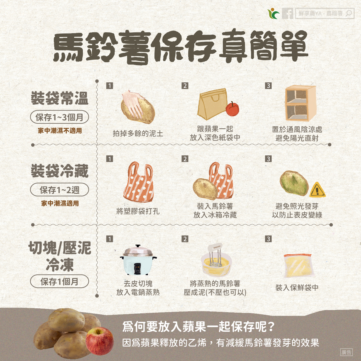 馬鈴薯發芽一點點能吃嗎？專家給答案「教１招保存３個月」，加碼快速去皮法