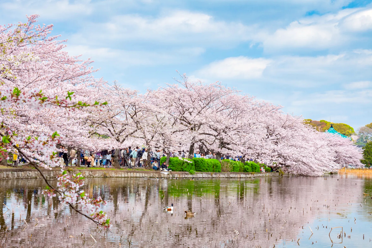 直飛日本、首爾只要999元!快閃3天優惠手刀搶,超過35款門票買一送一 直飛日本、首爾只要999元!快閃3天優惠手刀搶,超過35款門票買一送一
