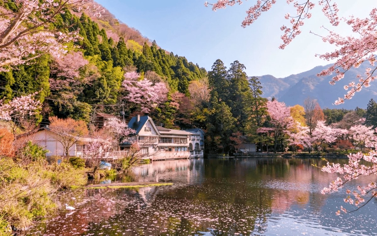 直飛日本、首爾只要999元!快閃3天優惠手刀搶,超過35款門票買一送一 直飛日本、首爾只要999元!快閃3天優惠手刀搶,超過35款門票買一送一