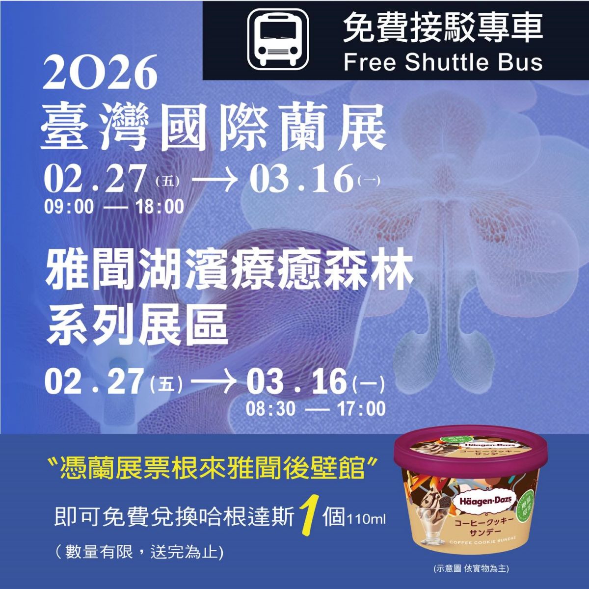 全台最大「玫瑰花園」免費拍！超過20種玫瑰接力綻放，１招免費換哈根達斯