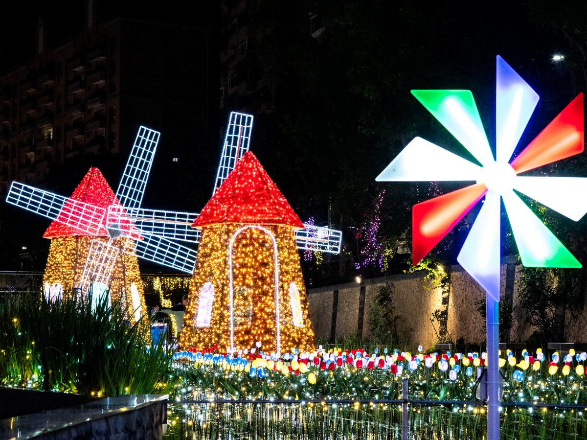 ３公尺北極熊出沒新北！最夢幻「情人節光雕展」本週點燈，限時１個月衝打卡