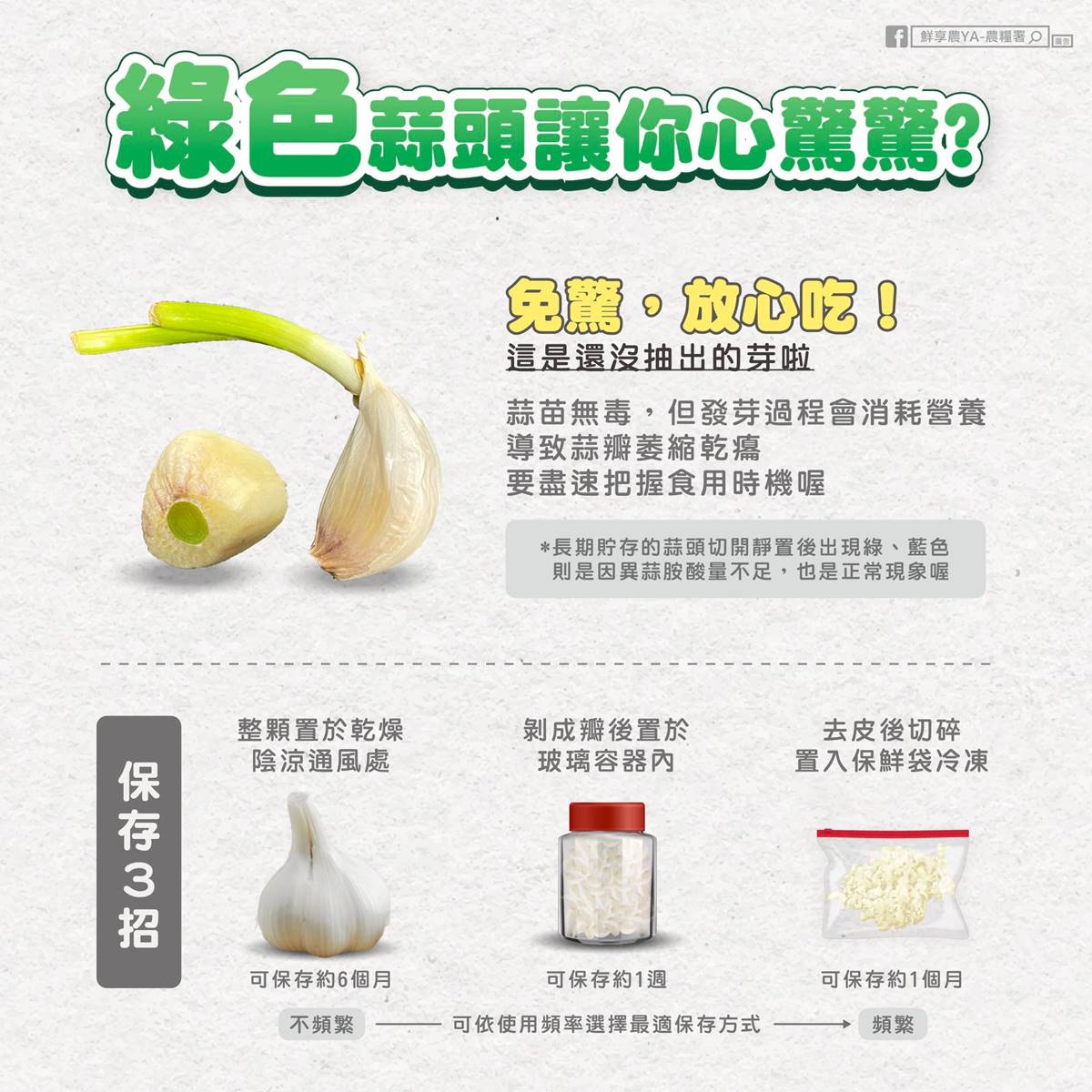 蒜頭發芽可以吃嗎?農業部籲出現1情況快丟掉,1招延長保鮮、別直接放冰箱 蒜頭發芽可以吃嗎?農業部籲出現1情況快丟掉,1招延長保鮮、別直接放冰箱