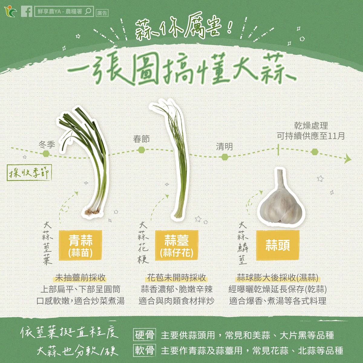 蒜頭發芽可以吃嗎?農業部籲出現1情況快丟掉,1招延長保鮮、別直接放冰箱 蒜頭發芽可以吃嗎?農業部籲出現1情況快丟掉,1招延長保鮮、別直接放冰箱