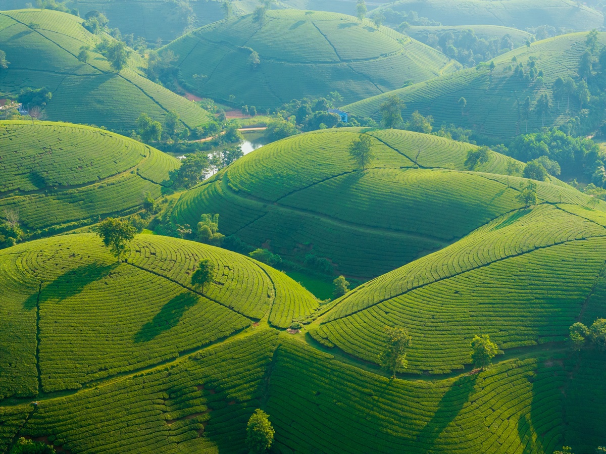 越南秘境行程２人省5000元！奢華度假村、世界級梯田、雙層列車、米其林全包
