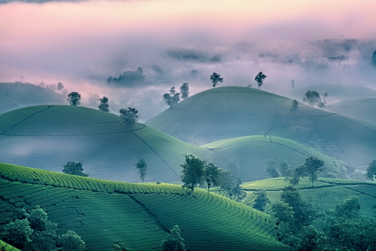 越南秘境行程２人省5000元！奢華度假村、世界級梯田、雙層列車、米其林全包