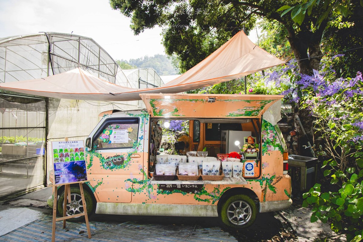 全台唯一「錫葉藤花海」免費拍！漫步百米夢幻紫色隧道，最佳賞花期倒數快衝