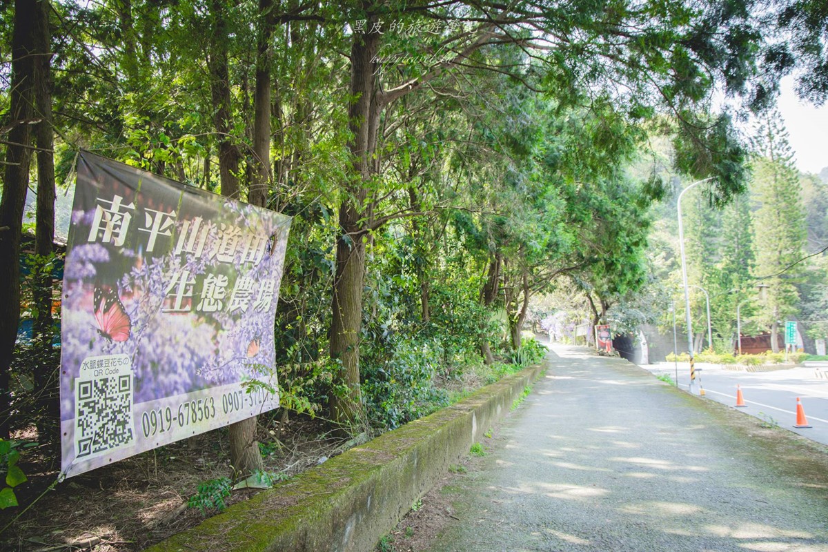 全台唯一「錫葉藤花海」免費拍！漫步百米夢幻紫色隧道，最佳賞花期倒數快衝