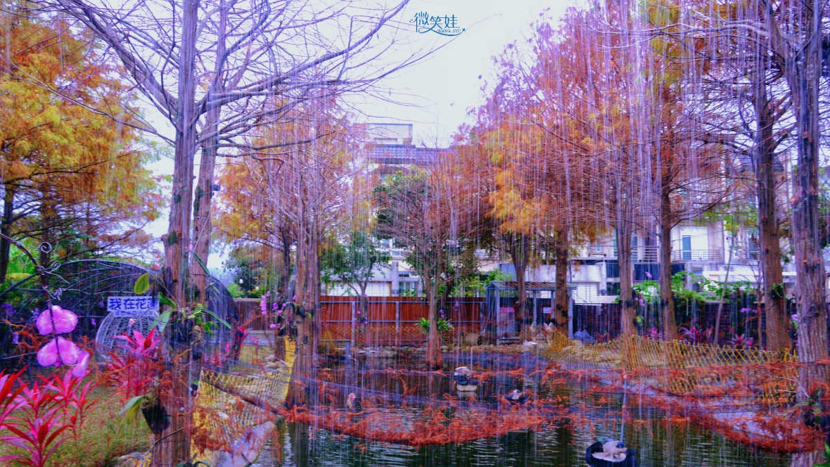 走進童話繪本世界！花蓮８間夢幻民宿推薦，可愛蘑菇屋、泡湯看星空