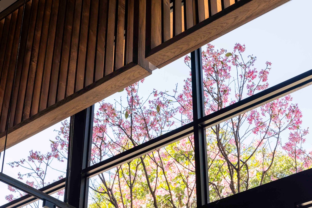 星巴克買一送一!絕美「櫻花玻璃屋門市」開幕,本週優惠、哈利波特周邊一覽 星巴克買一送一!絕美「櫻花玻璃屋門市」開幕,本週優惠、哈利波特周邊一覽