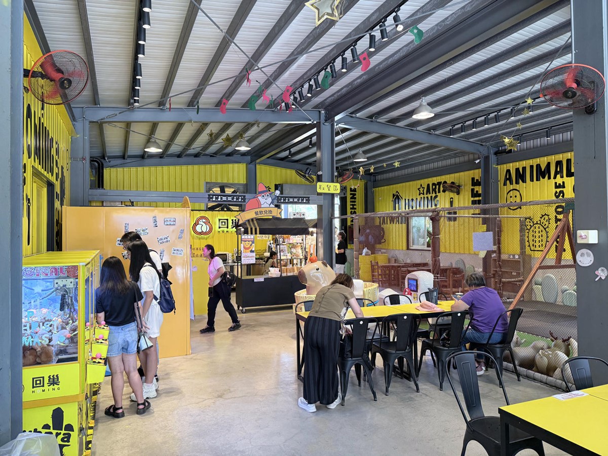 打卡宜蘭荒野風動物農場！近距離餵食呆萌水豚、抱抱小羊，還有溜滑梯球池