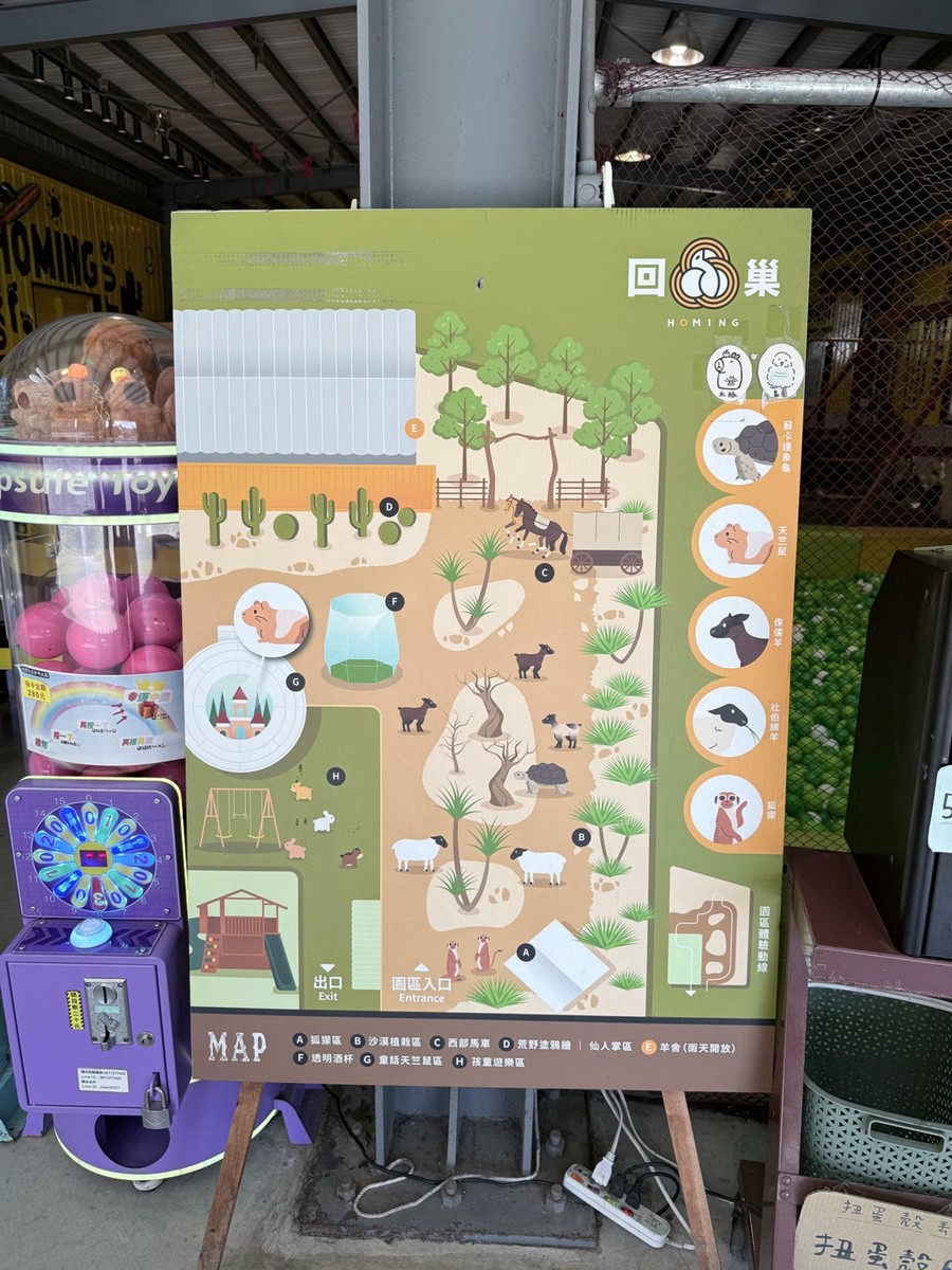 打卡宜蘭荒野風動物農場！近距離餵食呆萌水豚、抱抱小羊，還有溜滑梯球池