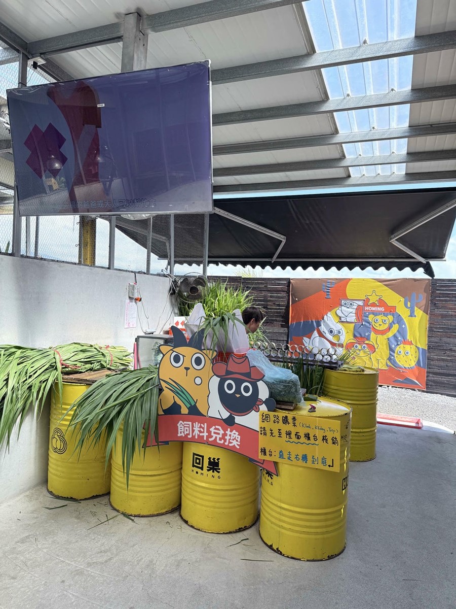 打卡宜蘭荒野風動物農場！近距離餵食呆萌水豚、抱抱小羊，還有溜滑梯球池