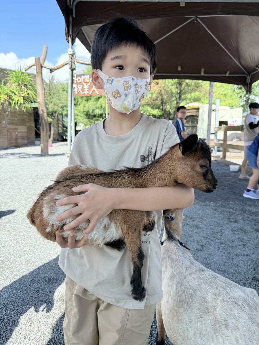 打卡宜蘭荒野風動物農場！近距離餵食呆萌水豚、抱抱小羊，還有溜滑梯球池