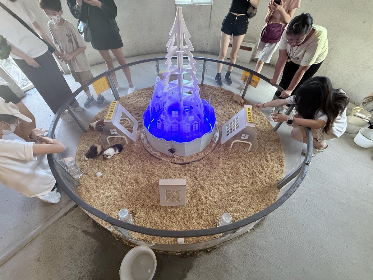 打卡宜蘭荒野風動物農場！近距離餵食呆萌水豚、抱抱小羊，還有溜滑梯球池