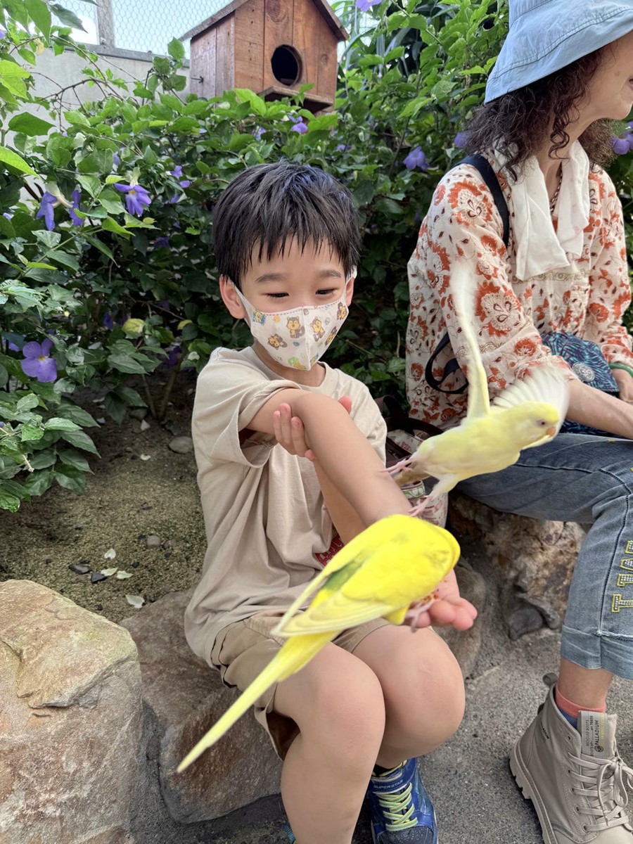 打卡宜蘭荒野風動物農場！近距離餵食呆萌水豚、抱抱小羊，還有溜滑梯球池