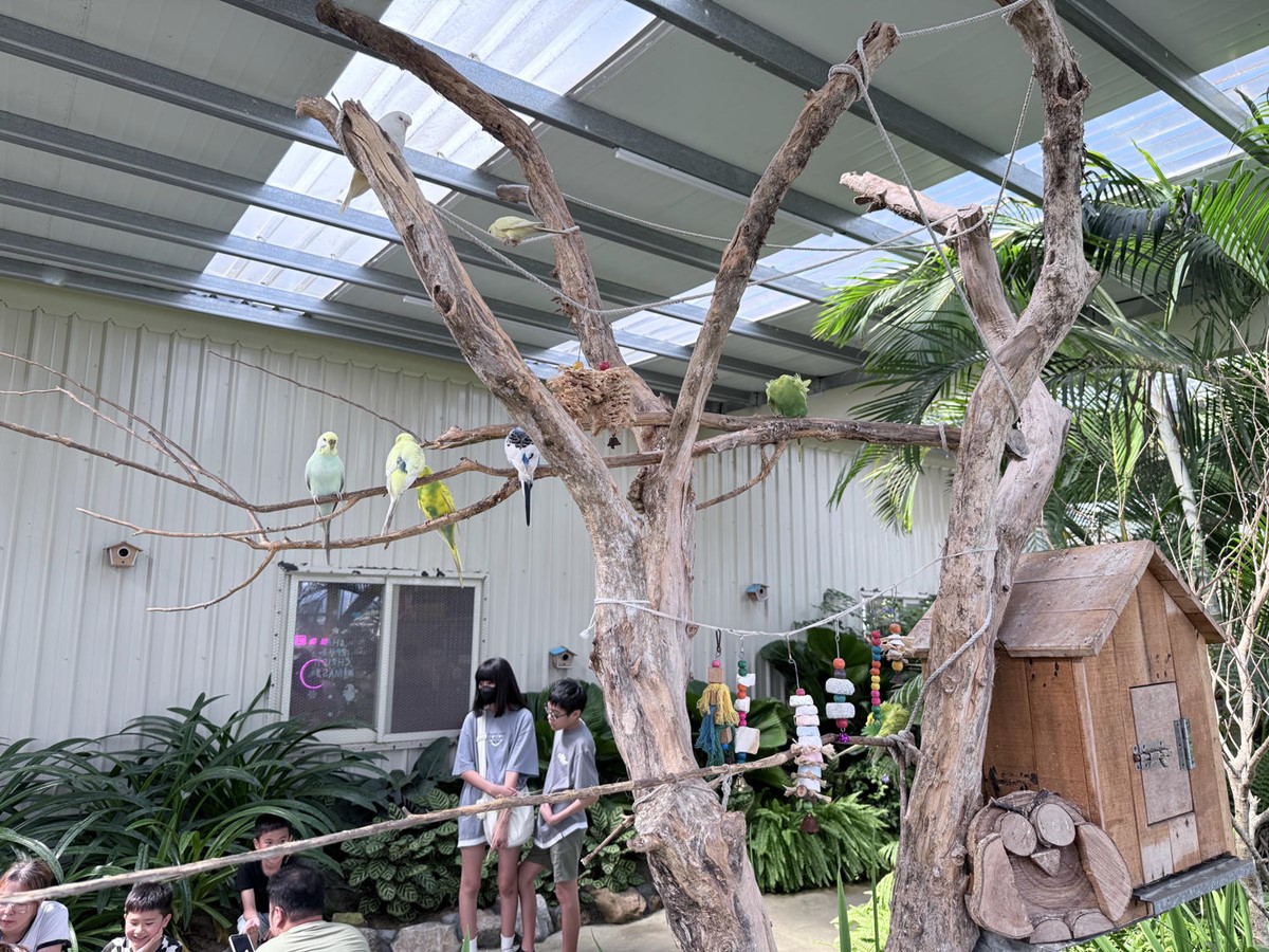 打卡宜蘭荒野風動物農場！近距離餵食呆萌水豚、抱抱小羊，還有溜滑梯球池