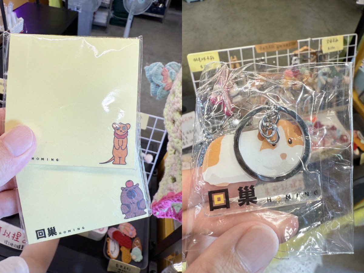 打卡宜蘭荒野風動物農場！近距離餵食呆萌水豚、抱抱小羊，還有溜滑梯球池