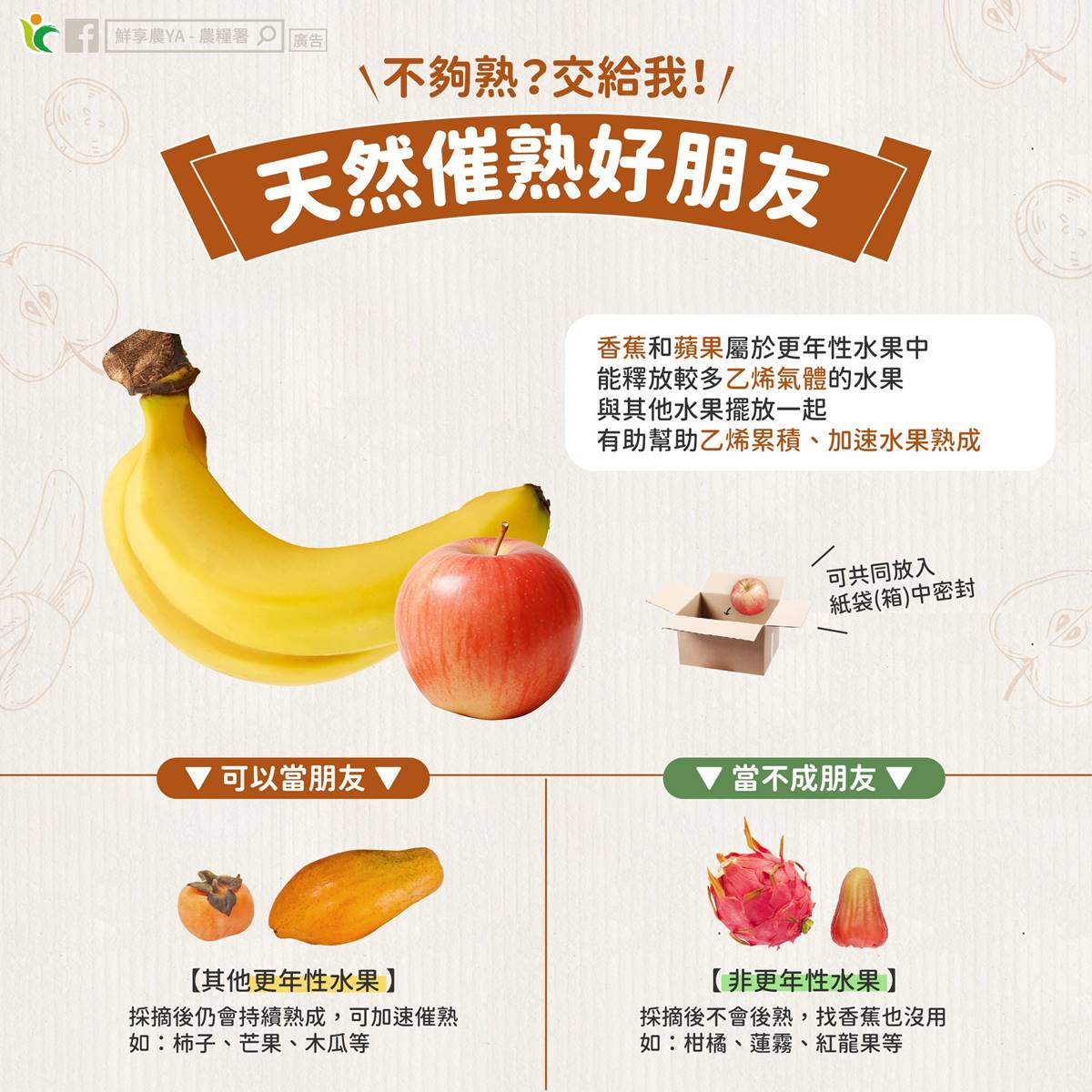 果皮別直接削掉！３水果連皮吃消水腫、助排便，加碼１招熟得更快又好吃