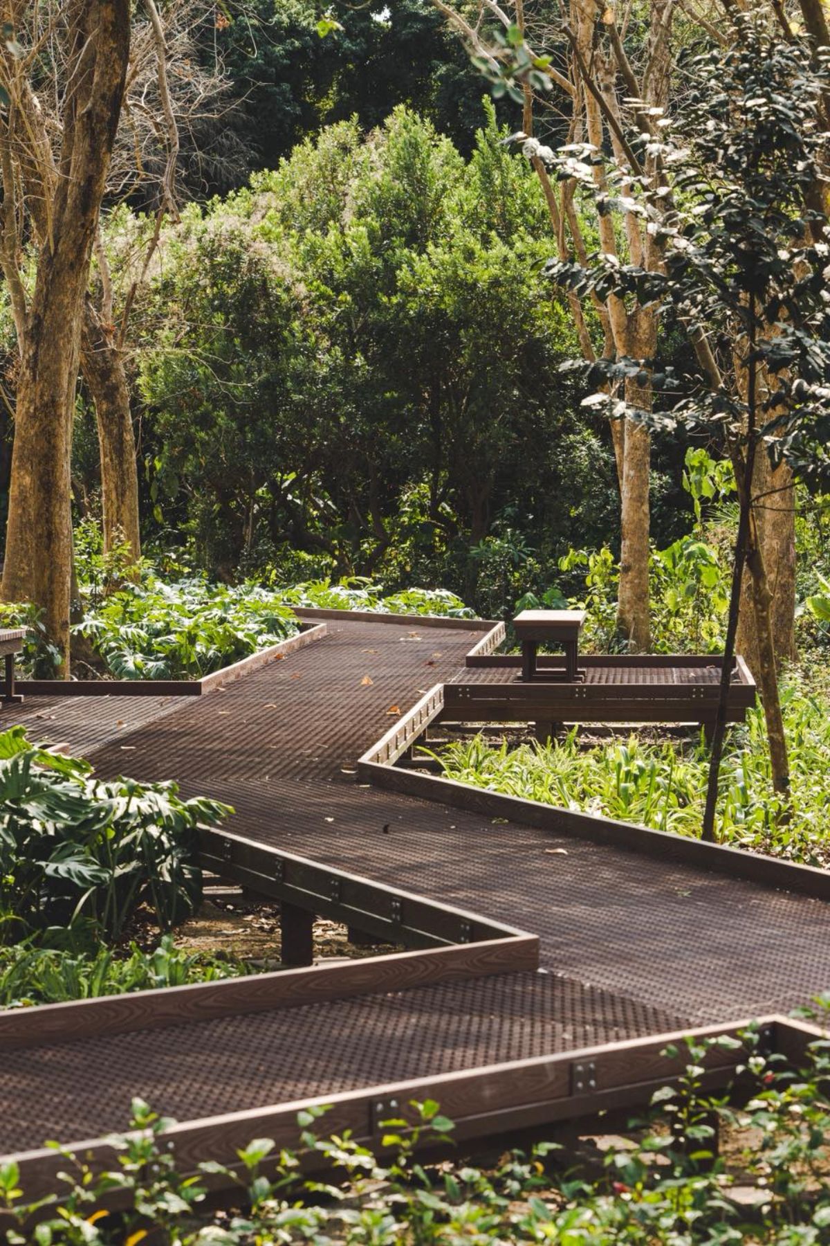 2026屏東４大新景點！全台唯一「貓咪主題」觀光工廠、開逛全新夜市