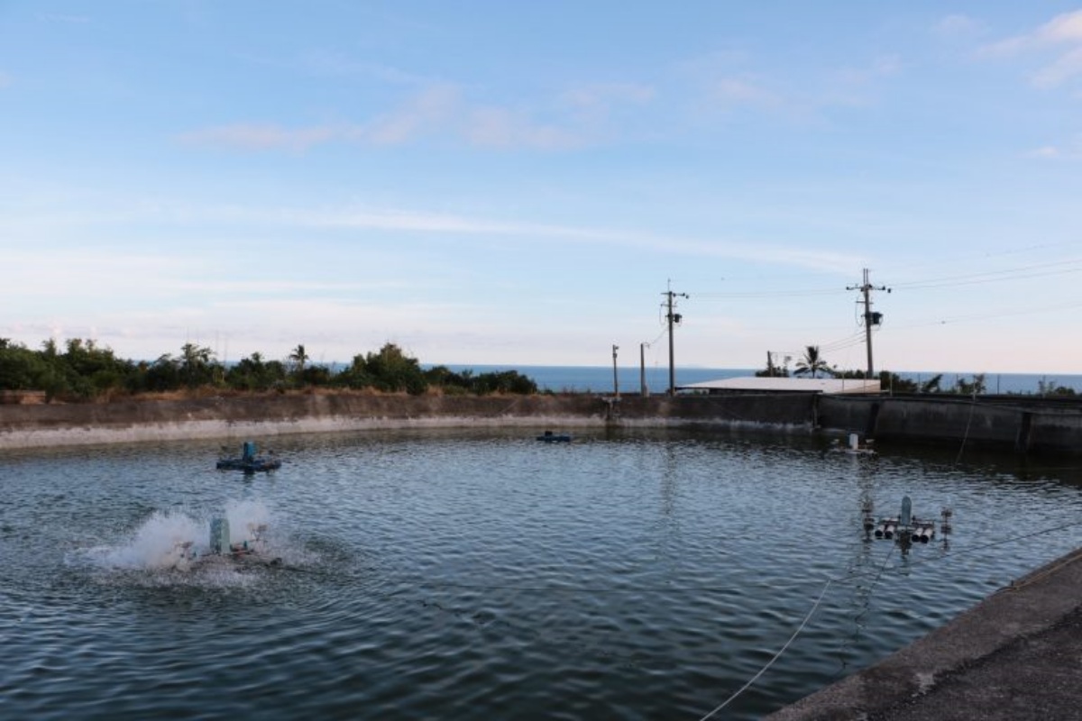 怎麼拍都像雜誌封面！台東風格民宿必住９間：唯美純白系、稻浪第一排、海景看星星