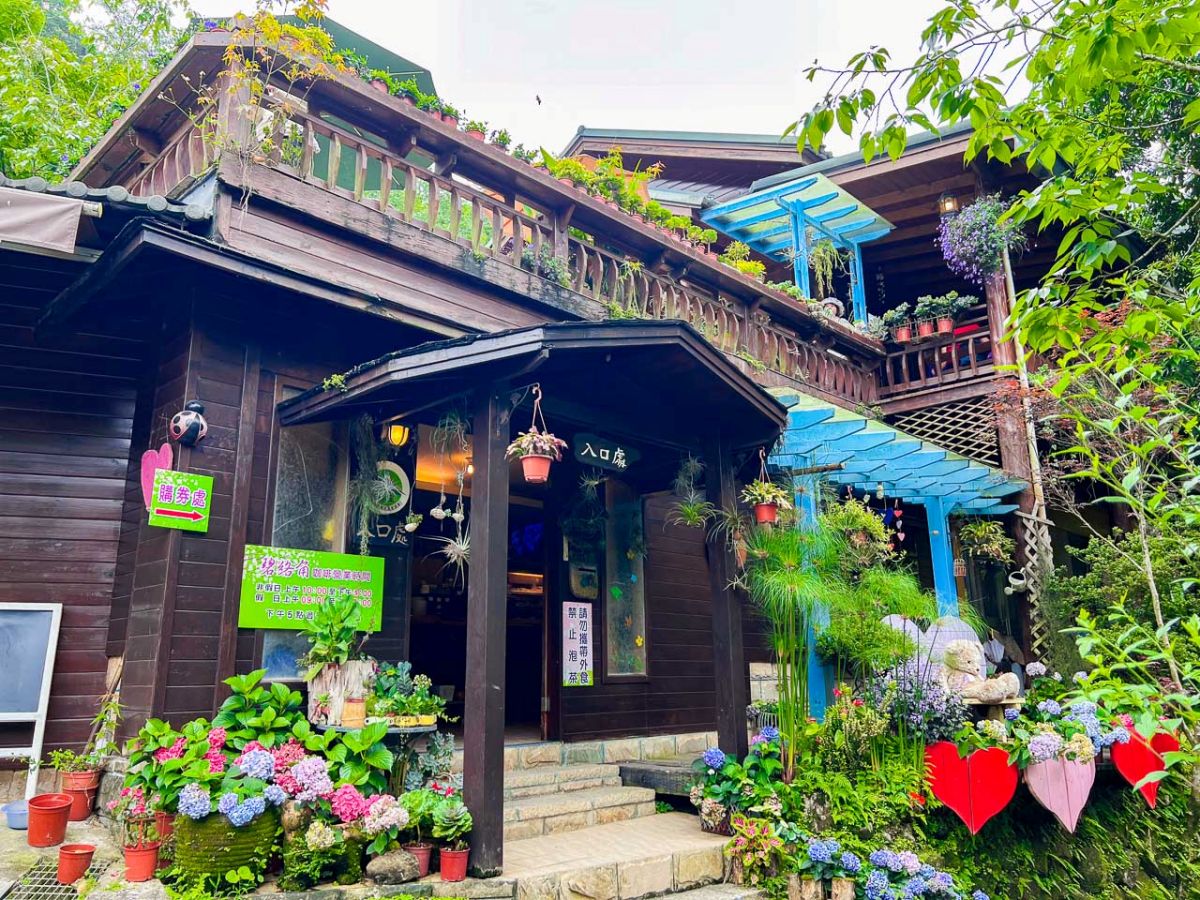 中部最美繡球花海來了！必拍荷蘭風車花園、繡球花火車，２萬朵花齊放超夢幻