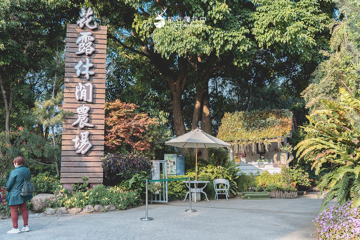 中部最美繡球花海來了！必拍荷蘭風車花園、繡球花火車，２萬朵花齊放超夢幻