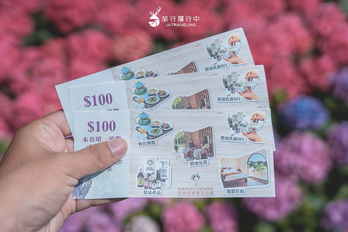 中部最美繡球花海來了！必拍荷蘭風車花園、繡球花火車，２萬朵花齊放超夢幻