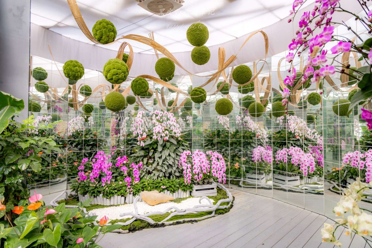 中部最美繡球花海來了！必拍荷蘭風車花園、繡球花火車，２萬朵花齊放超夢幻