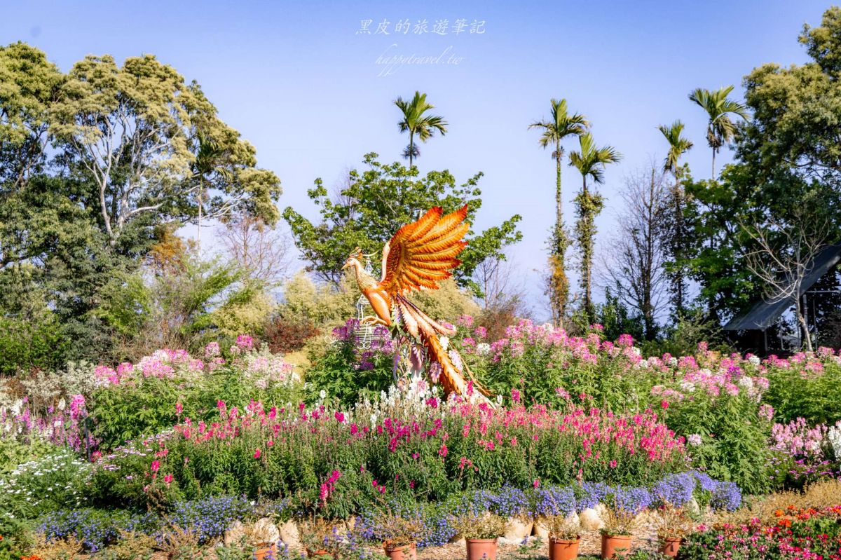 中部最美繡球花海來了！必拍荷蘭風車花園、繡球花火車，２萬朵花齊放超夢幻