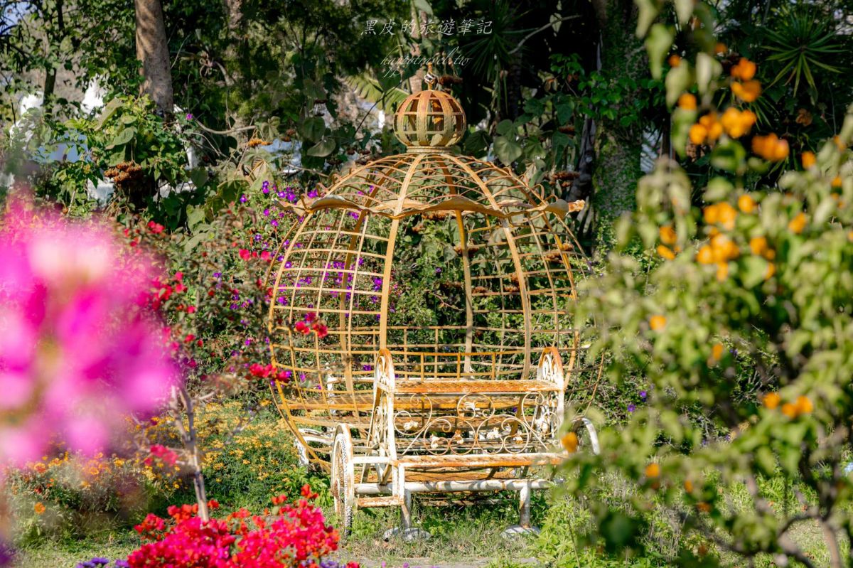 中部最美繡球花海來了！必拍荷蘭風車花園、繡球花火車，２萬朵花齊放超夢幻