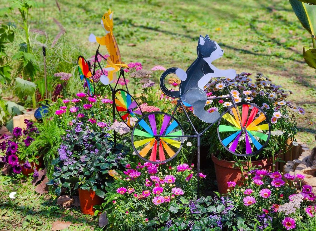 台北免門票繡球花海美翻！搭捷運、公車免上山輕鬆逛，21萬株杜鵑同步綻放