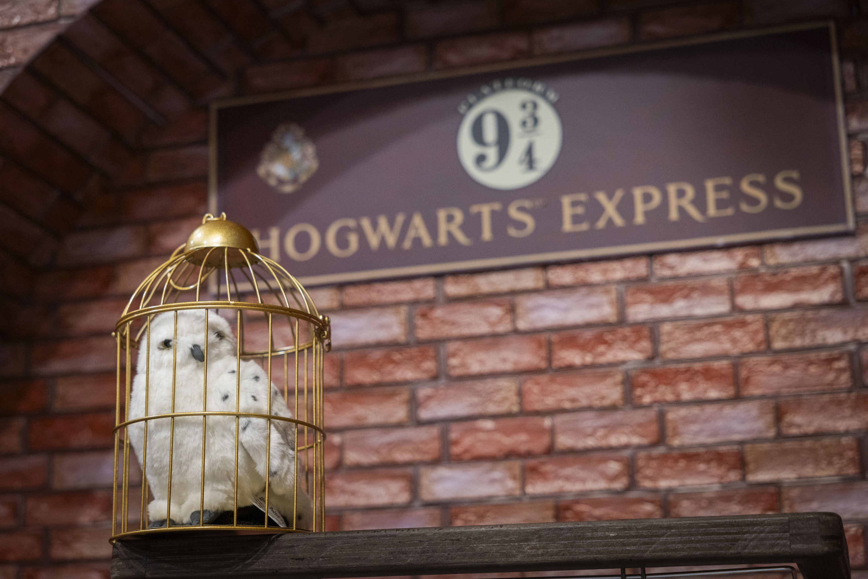 星巴克這５天買一送一！28週年優惠連發，哈利波特聯名開賣、免費穿巫師袍