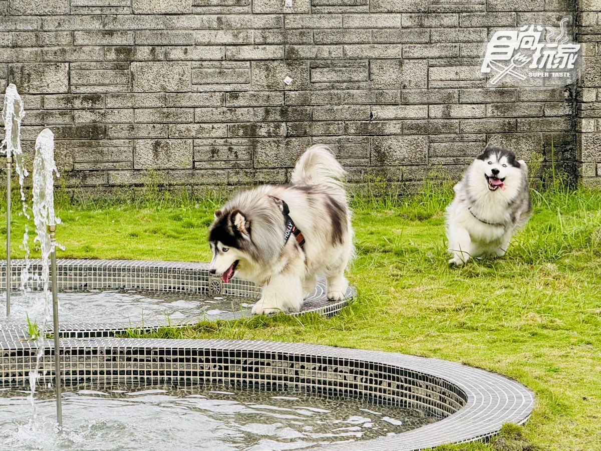 花蓮偽出國景點地圖！全台最美7-11、星巴克、落羽松森林、運河飯店一次收