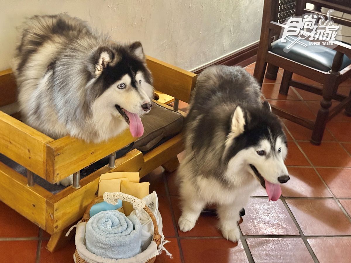 花蓮偽出國景點地圖！全台最美7-11、星巴克、落羽松森林、運河飯店一次收