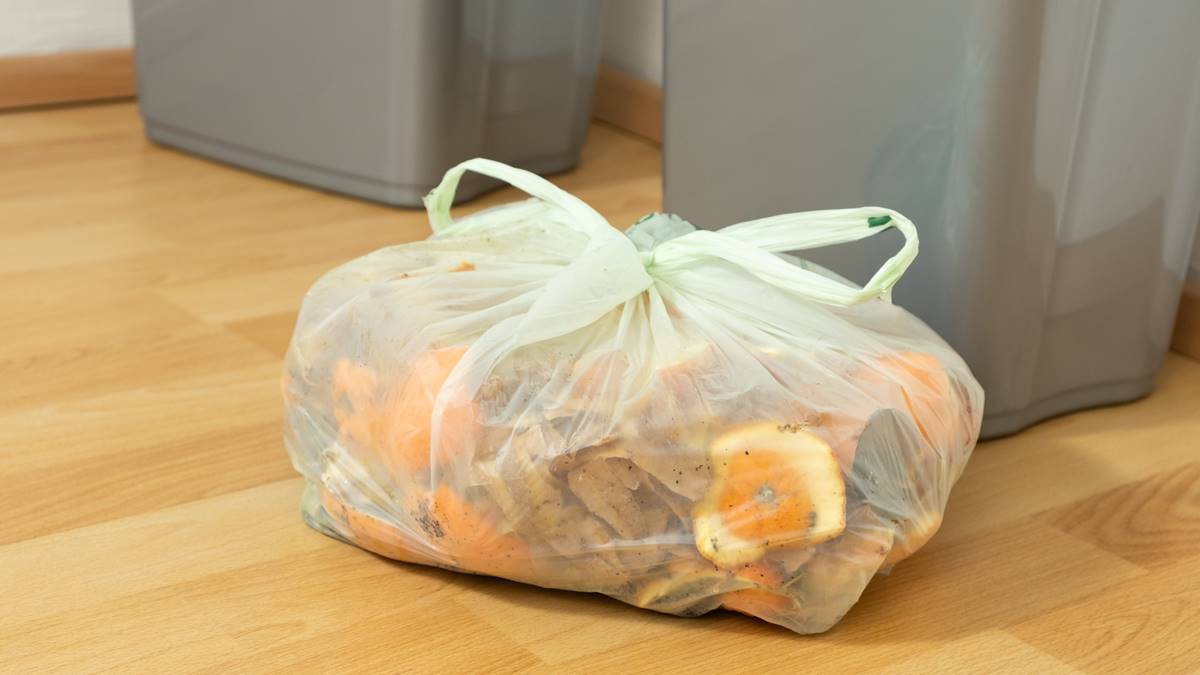 廚餘處理妙招曝光!靠1物無臭味也沒蟑螂,加碼「廚餘分類法」丟錯罰6000元 廚餘處理妙招曝光!靠1物無臭味也沒蟑螂,加碼「廚餘分類法」丟錯罰6000元