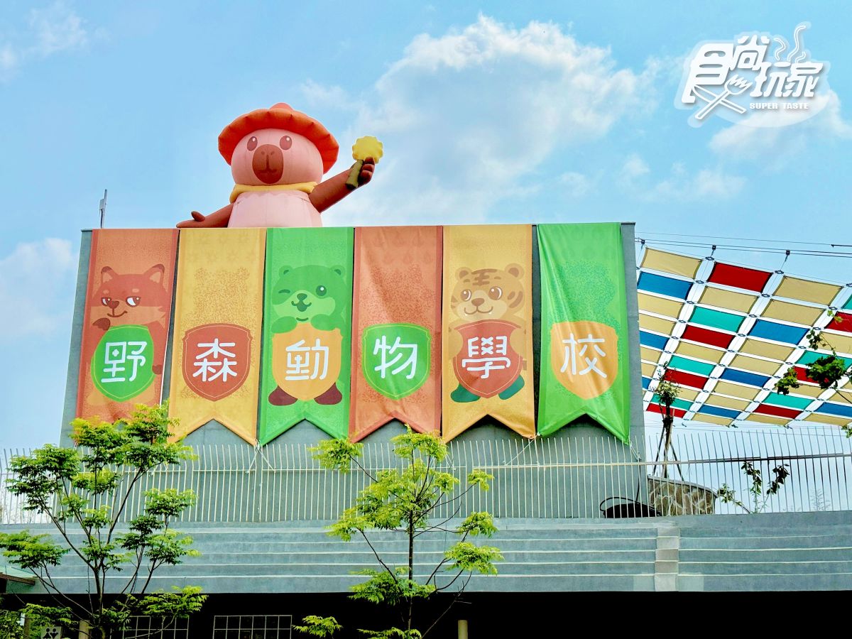 高雄最新「野森動物學校」開箱！萌寵動物近距離互動超幸福，餐飲設施一次看