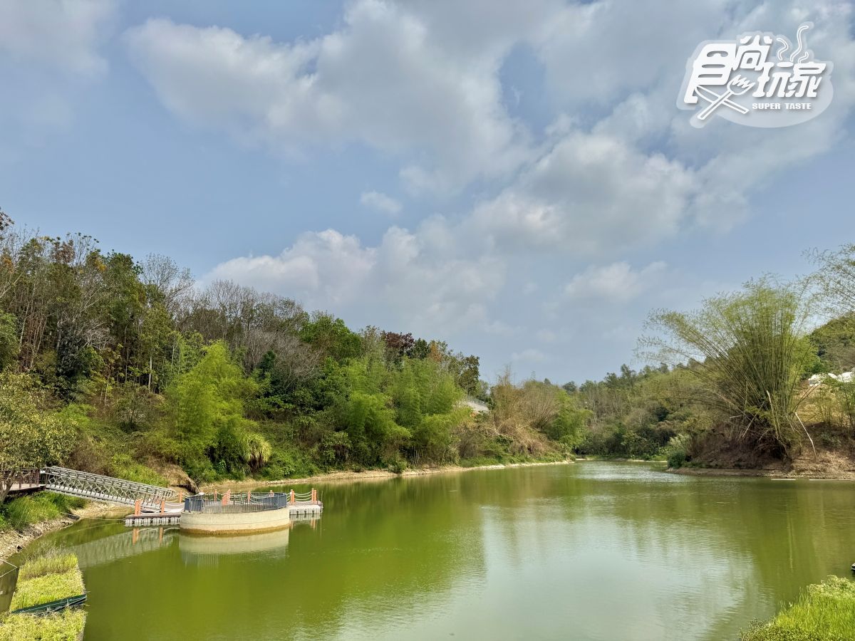高雄最新「野森動物學校」開箱！萌寵動物近距離互動超幸福，餐飲設施一次看