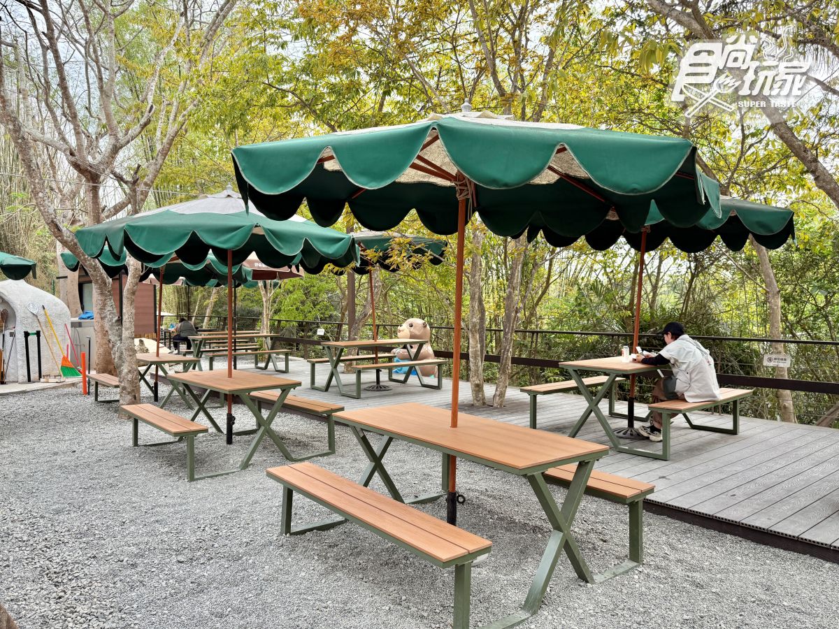 高雄最新「野森動物學校」開箱！萌寵動物近距離互動超幸福，餐飲設施一次看