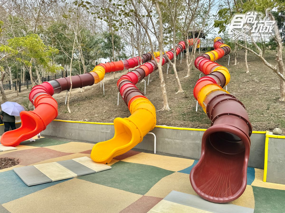 高雄最新「野森動物學校」開箱！萌寵動物近距離互動超幸福，餐飲設施一次看