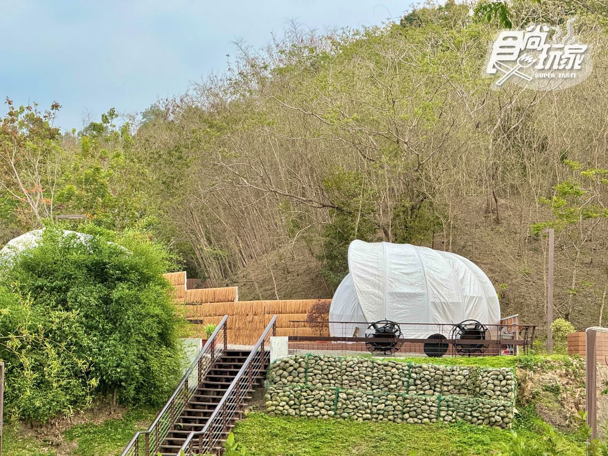 高雄最新「野森動物學校」開箱！萌寵動物近距離互動超幸福，餐飲設施一次看